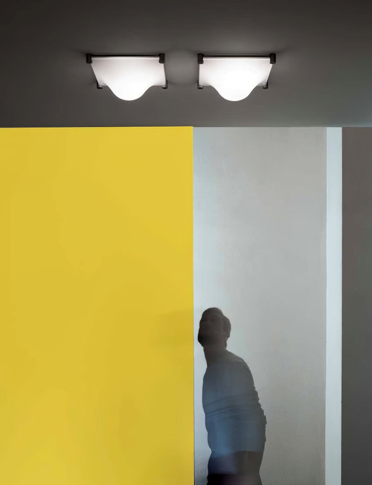 Sytheen Individual Creativity Ceiling Light