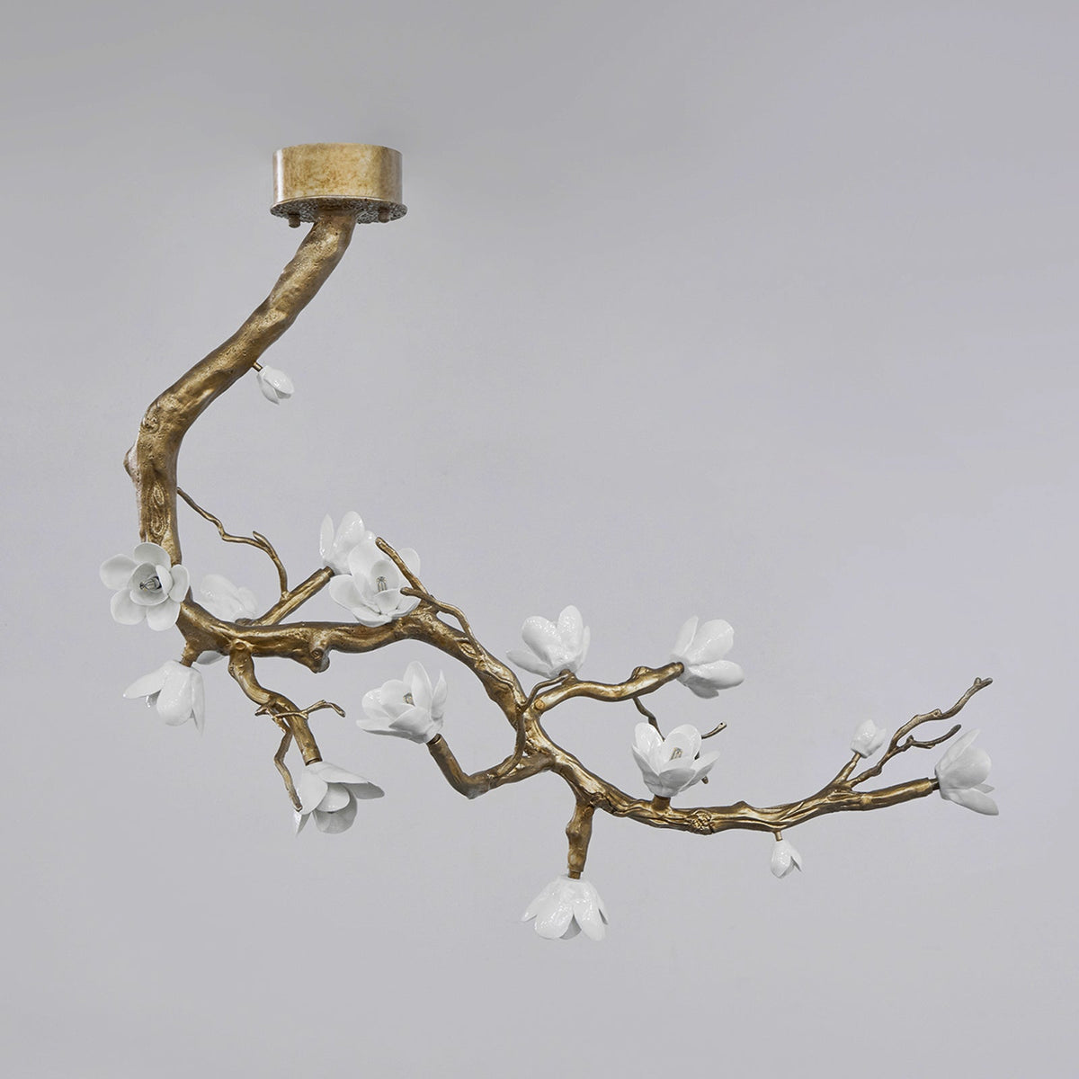 Solenira Chandelier Brass Flower Branch Natural