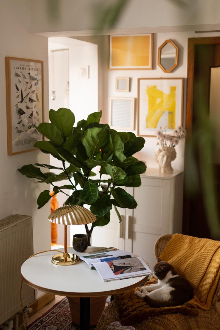 Zorare Brass Glam Table Lamp
