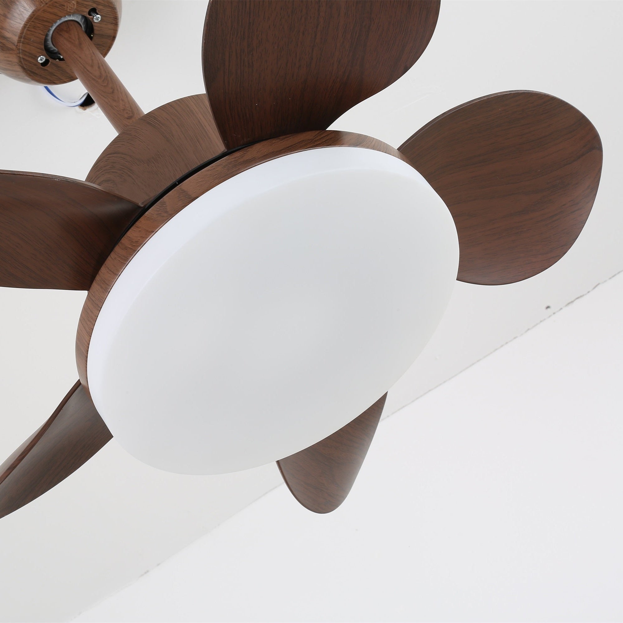 Alenya Wood Ceiling Fan Light