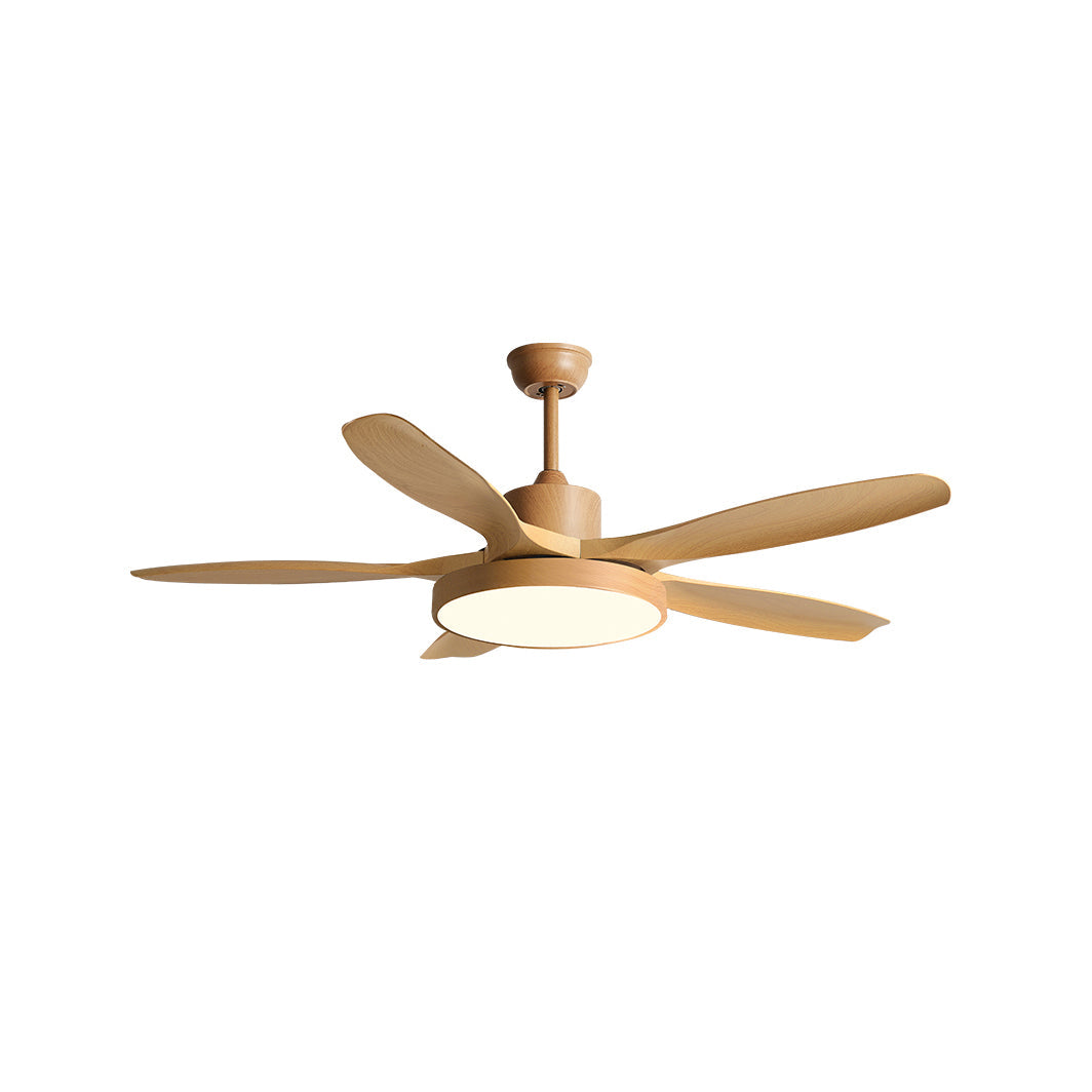 Teriinena Ceiling Fan Light