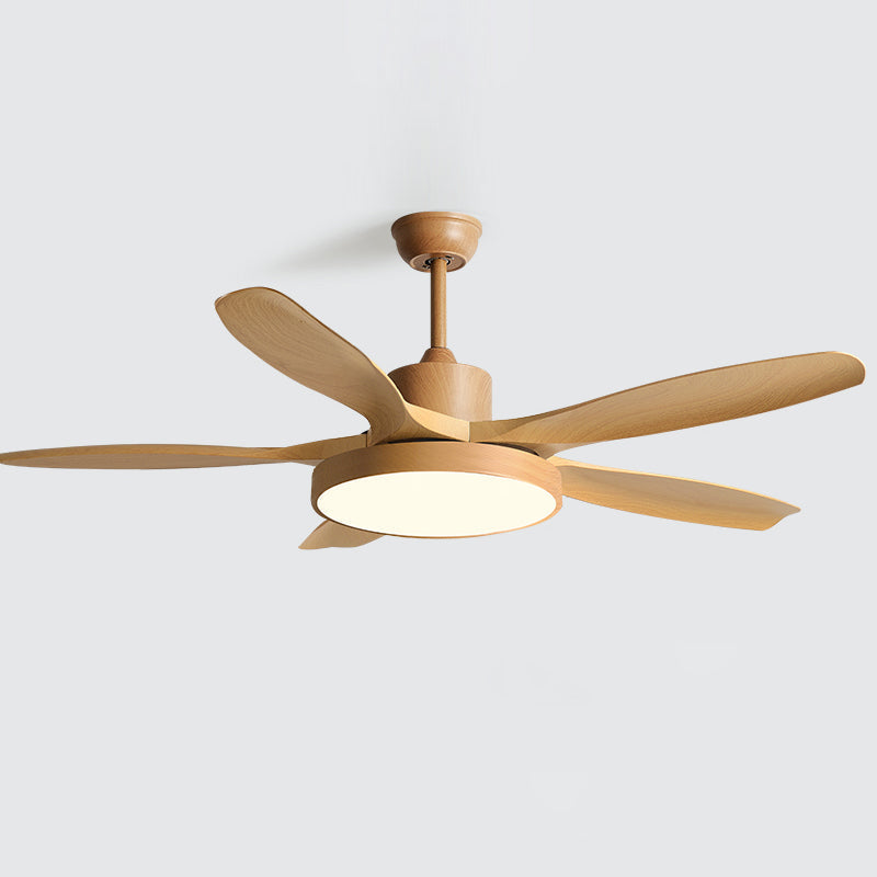 Teriinena Ceiling Fan Light