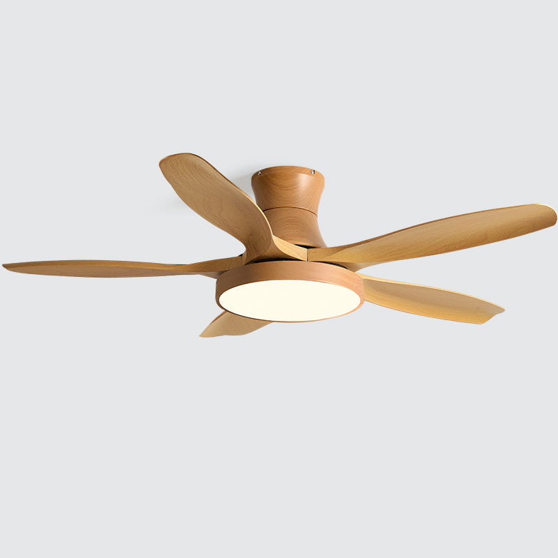 Teriinena Ceiling Fan Light