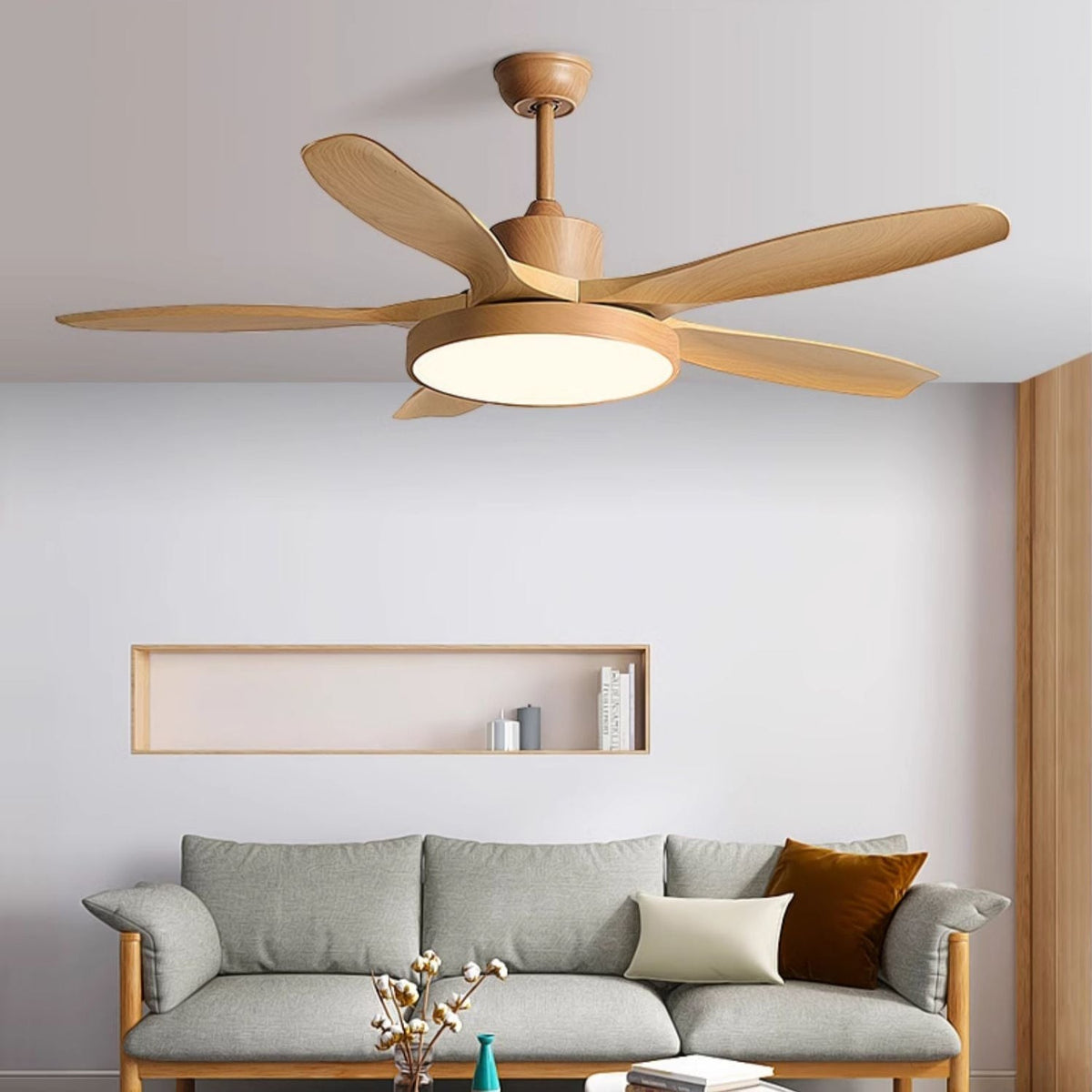 Teriinena Ceiling Fan Light
