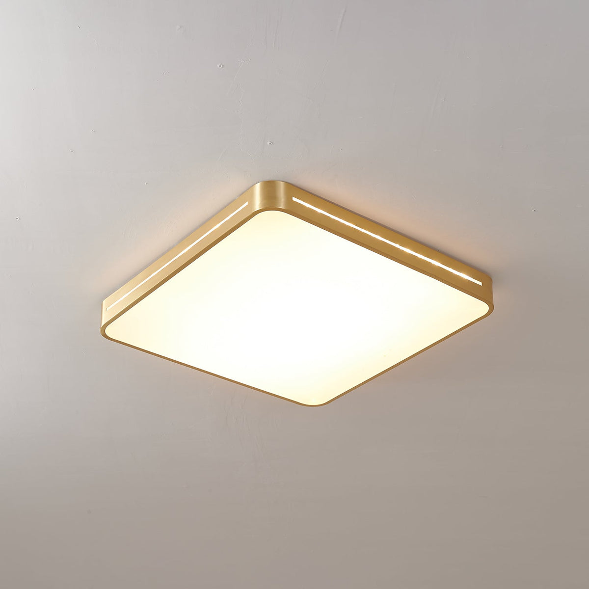 Eurcarara Modern Minimalist Brass Ceiling Light