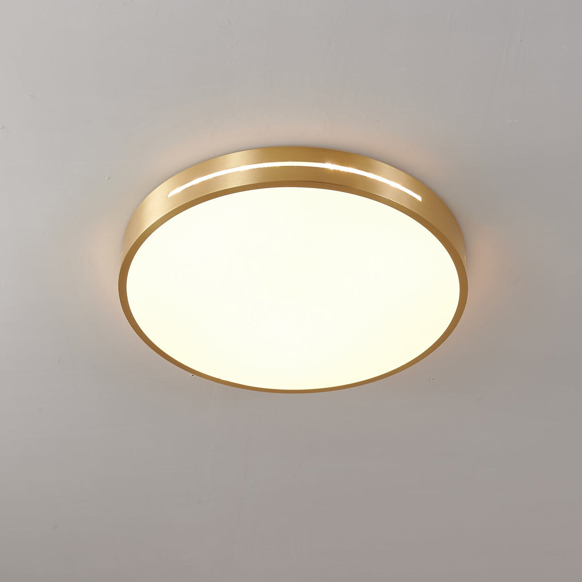 Eurcarara Modern Minimalist Brass Ceiling Light