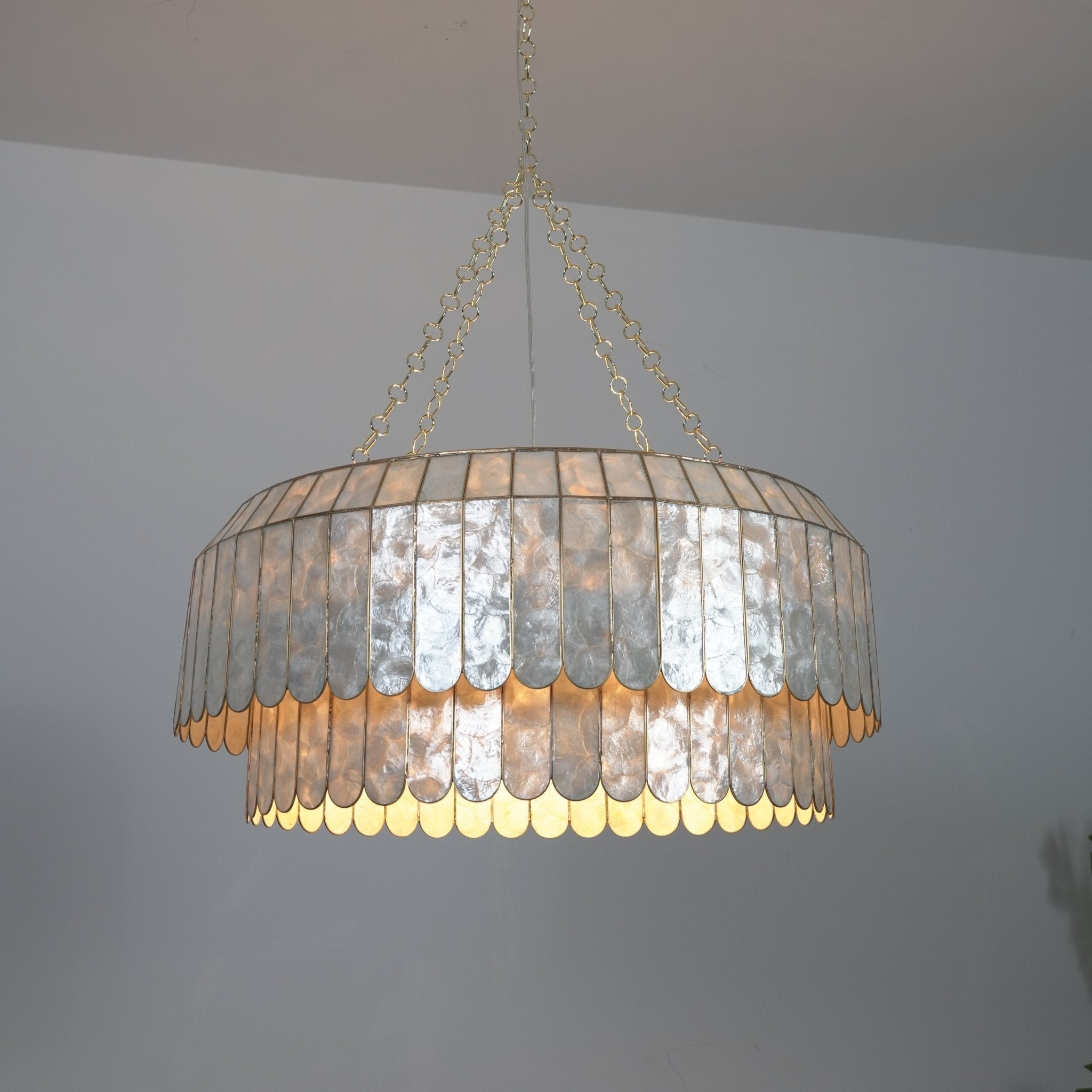 Holz Gold Shell Metal Aurelia Chandelier