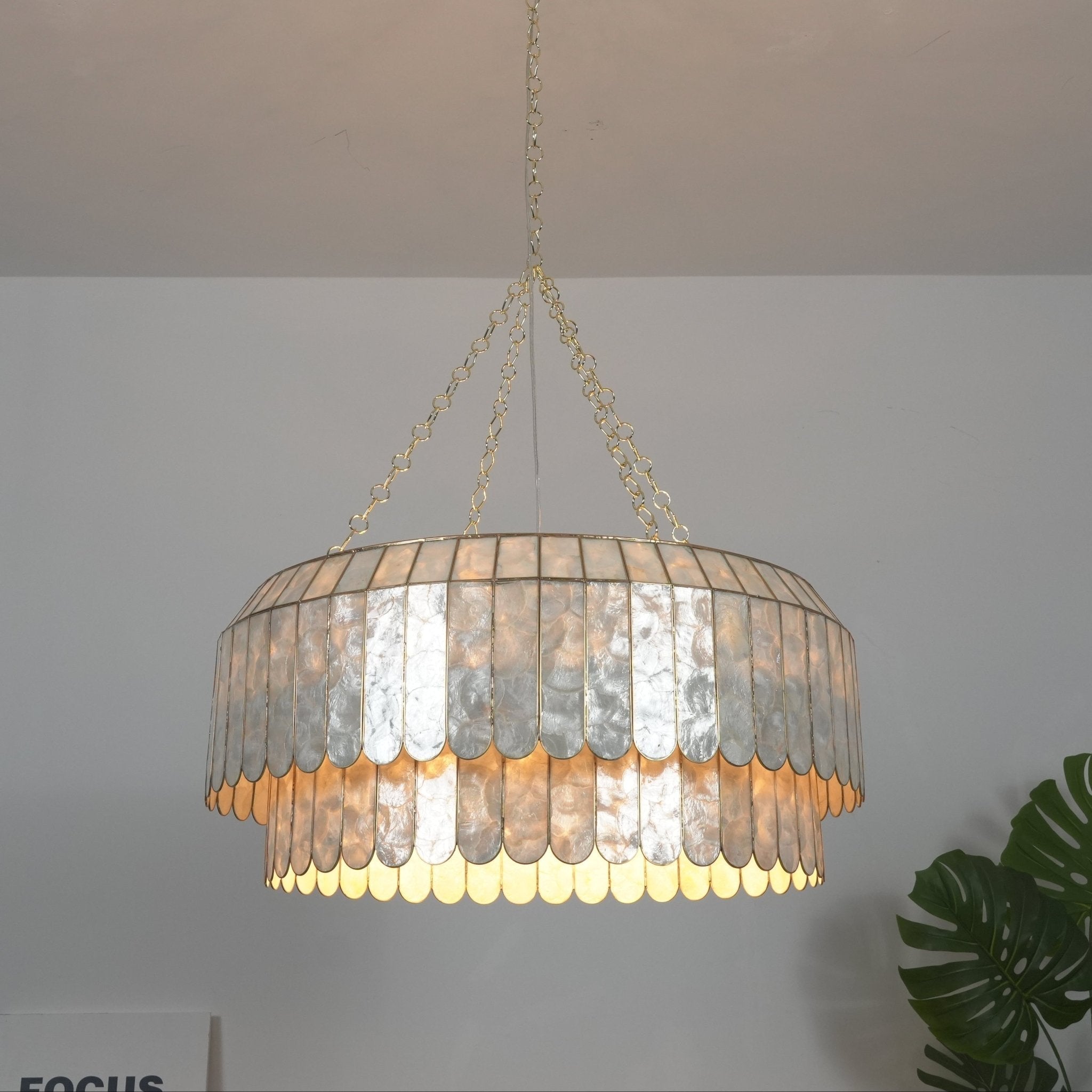 Holz Gold Shell Metal Aurelia Chandelier