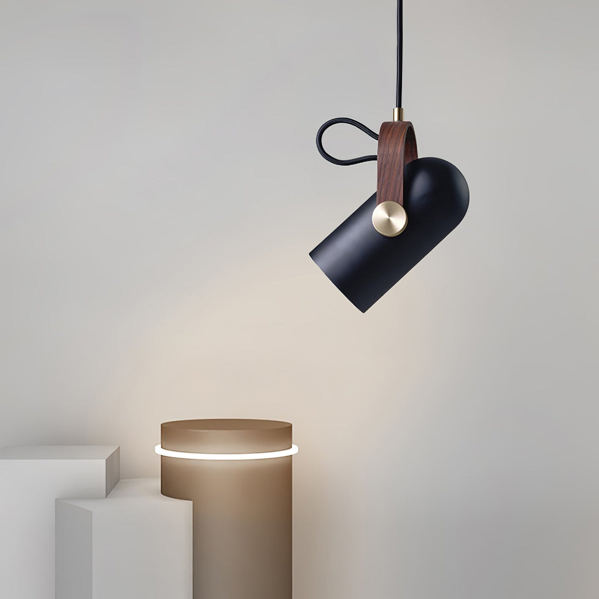 Miraaine Modern Minimalist Swag Pendant Light