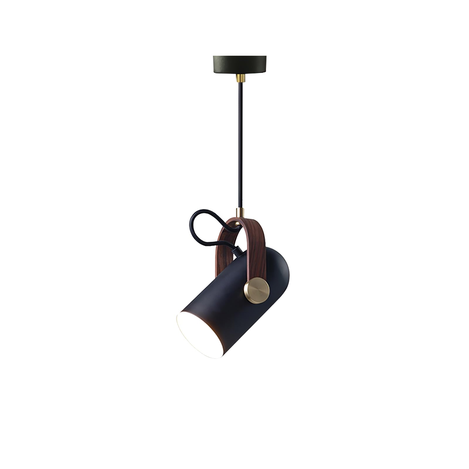 Miraaine Modern Minimalist Swag Pendant Light