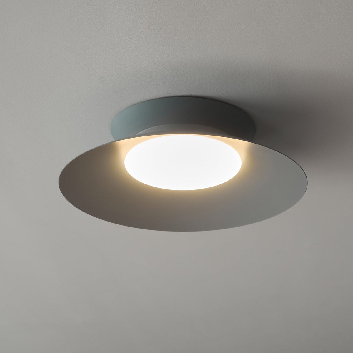 Zezoraris Ceiling Light