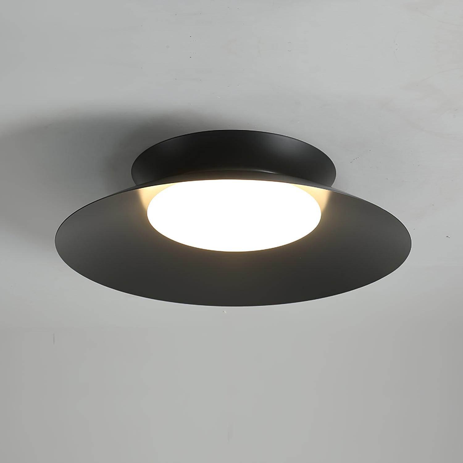 Zezoraris Ceiling Light