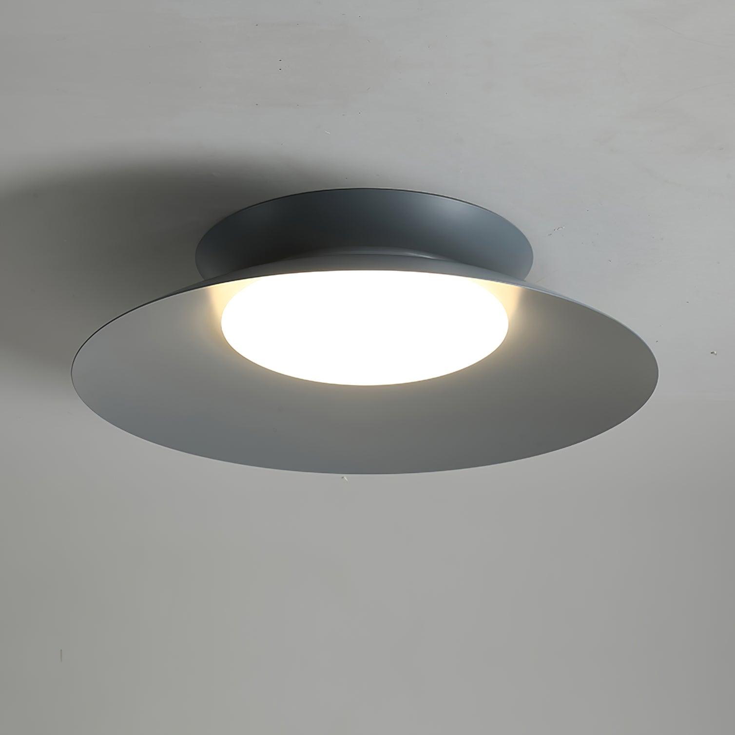 Zezoraris Ceiling Light