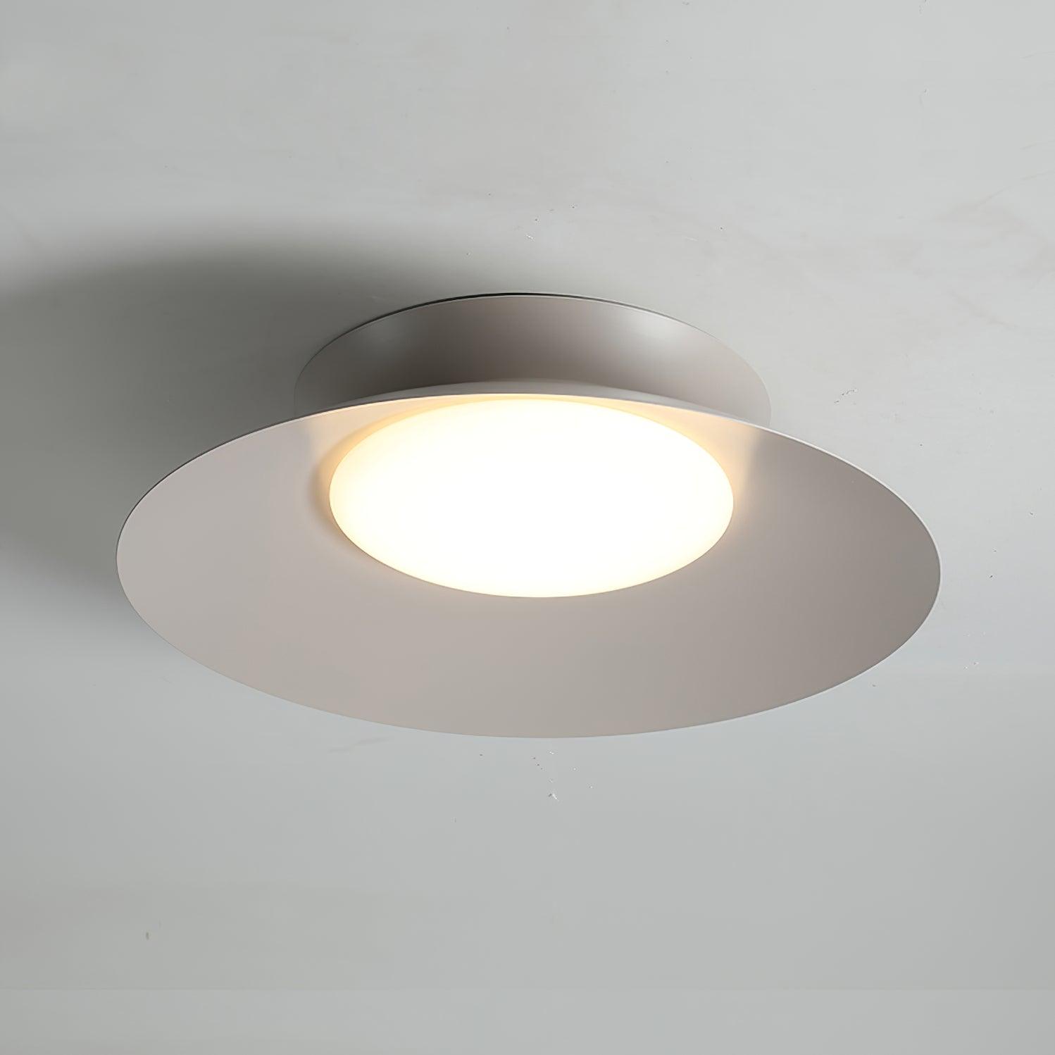 Zezoraris Ceiling Light