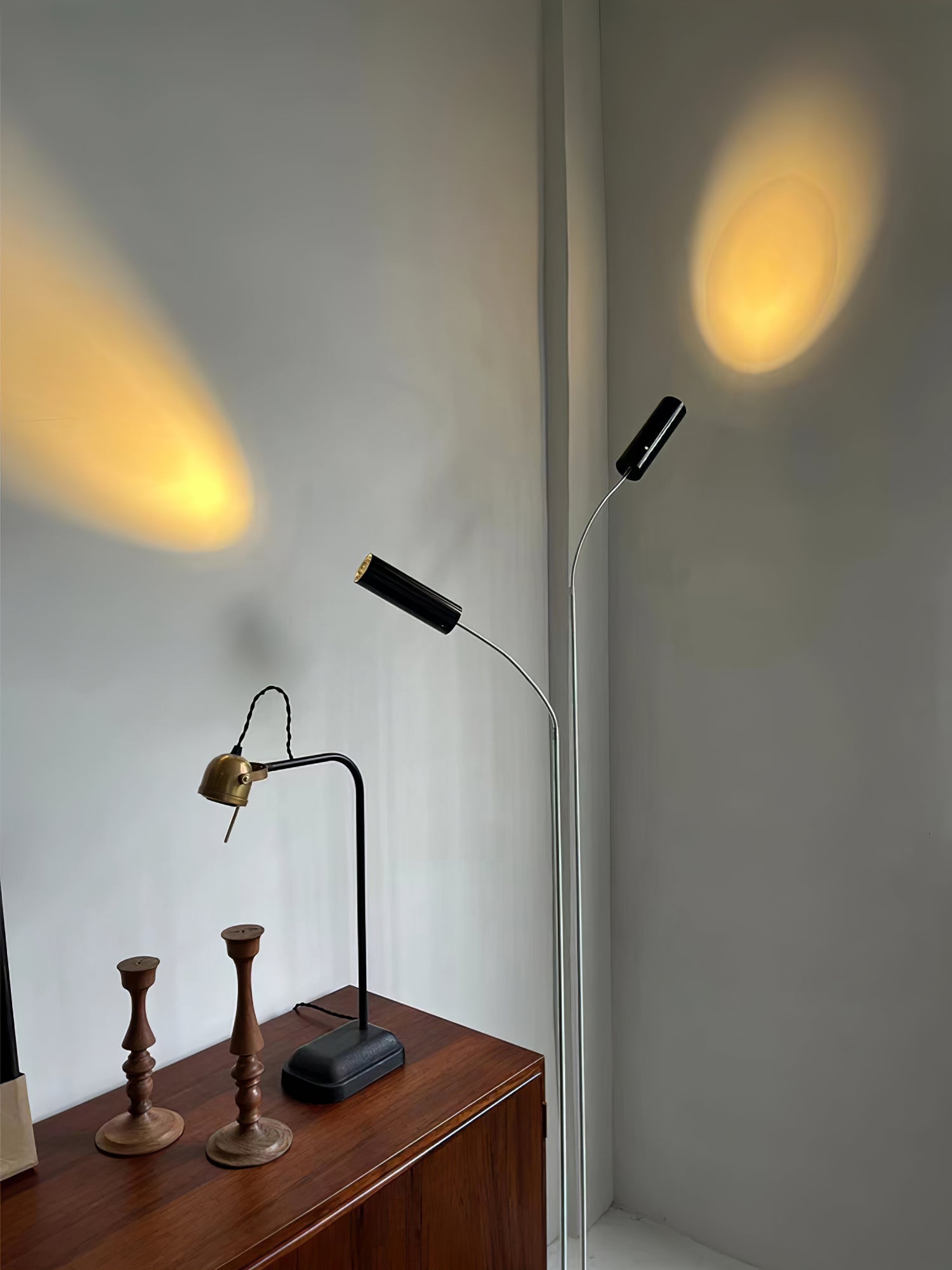 Telum Minimalist Black Floor Lamp