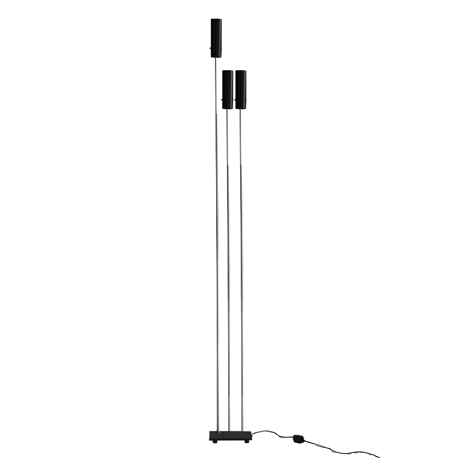 Telum Minimalist Black Floor Lamp