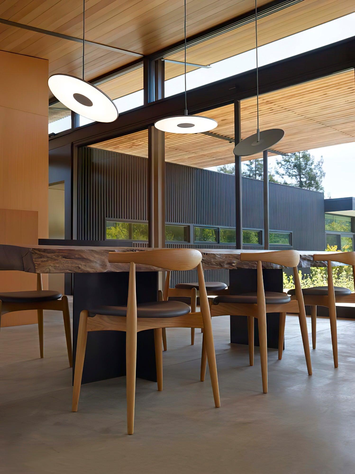 Vosolus Minimalist Pendant Light