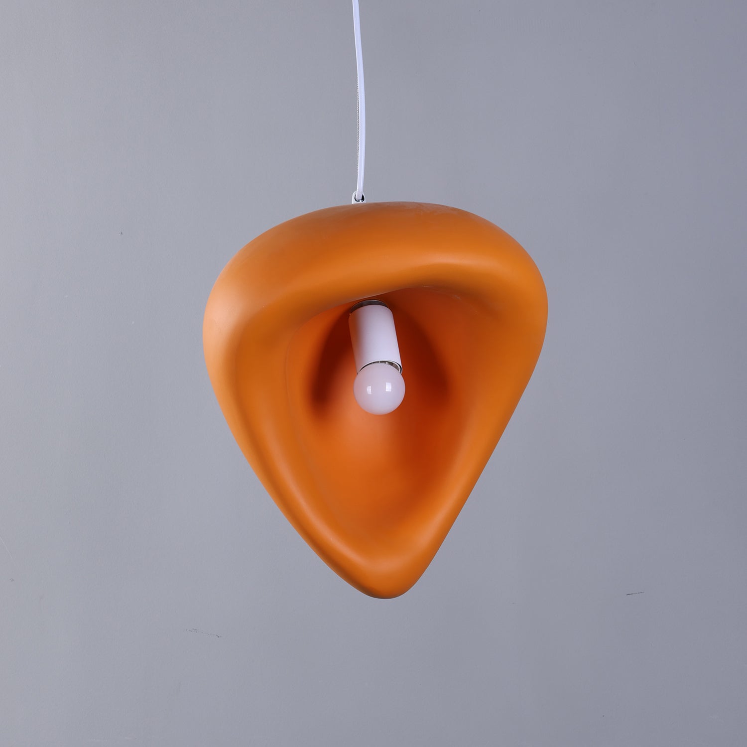 Renareria Premium Nordic Art Pendant Lamp
