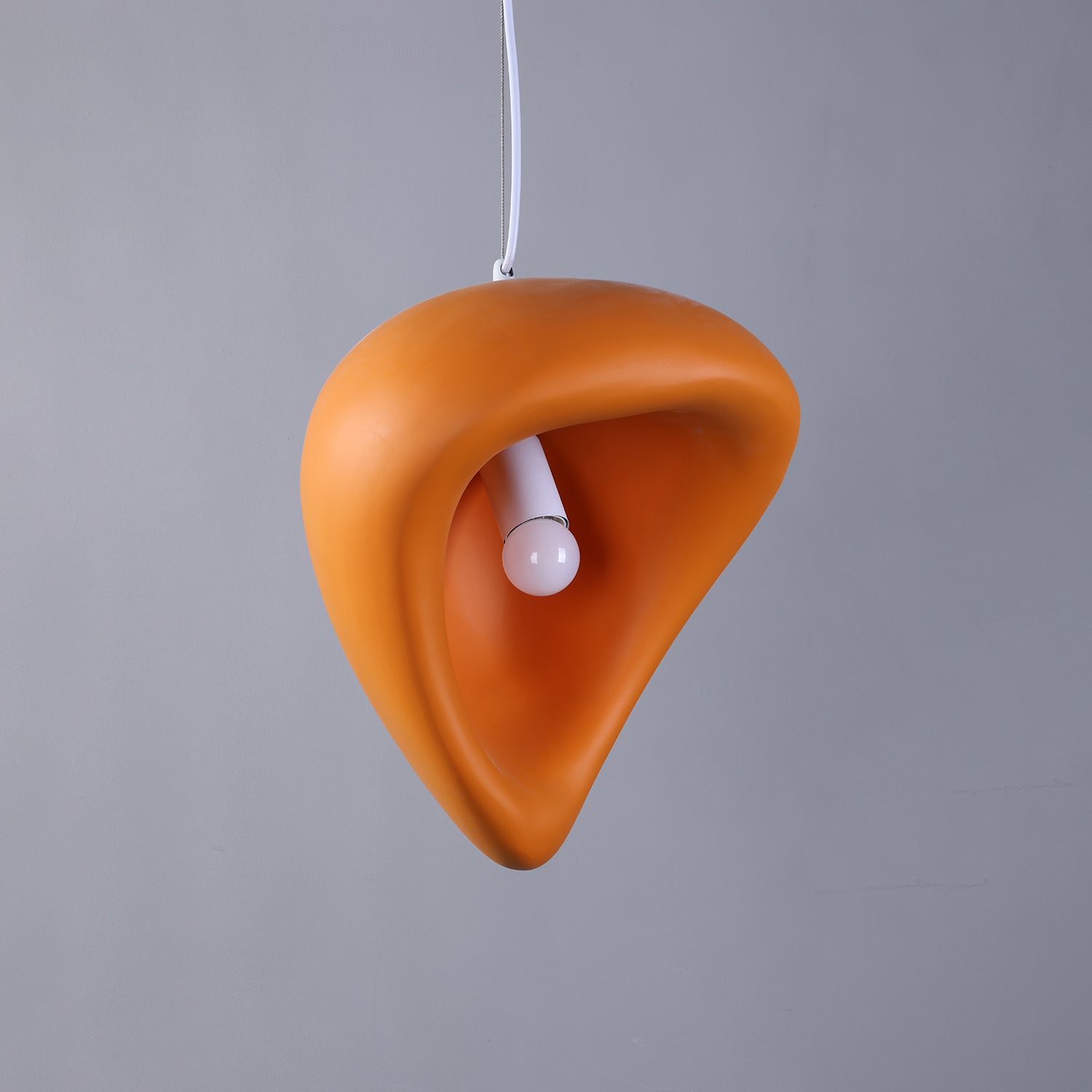 Renareria Premium Nordic Art Pendant Lamp
