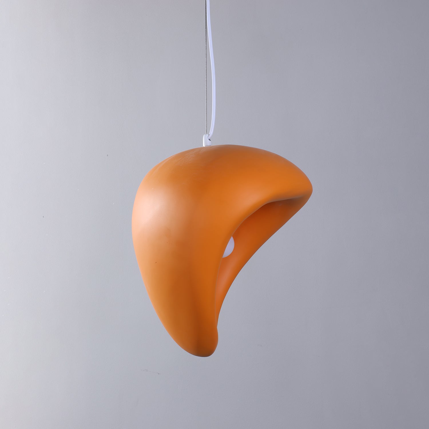 Renareria Premium Nordic Art Pendant Lamp