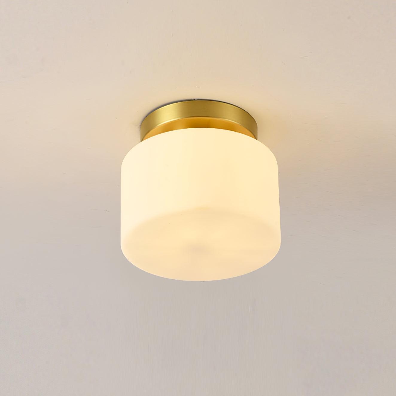 Elsilisra Nordic Art Brass Glass Flush Mount Ceiling Light