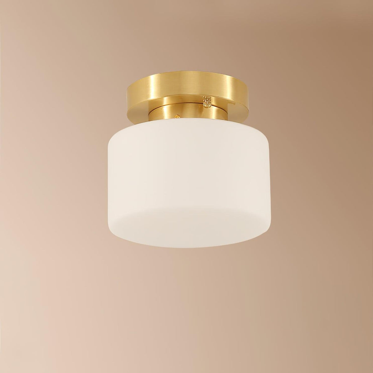 Elsilisra Nordic Art Brass Glass Flush Mount Ceiling Light