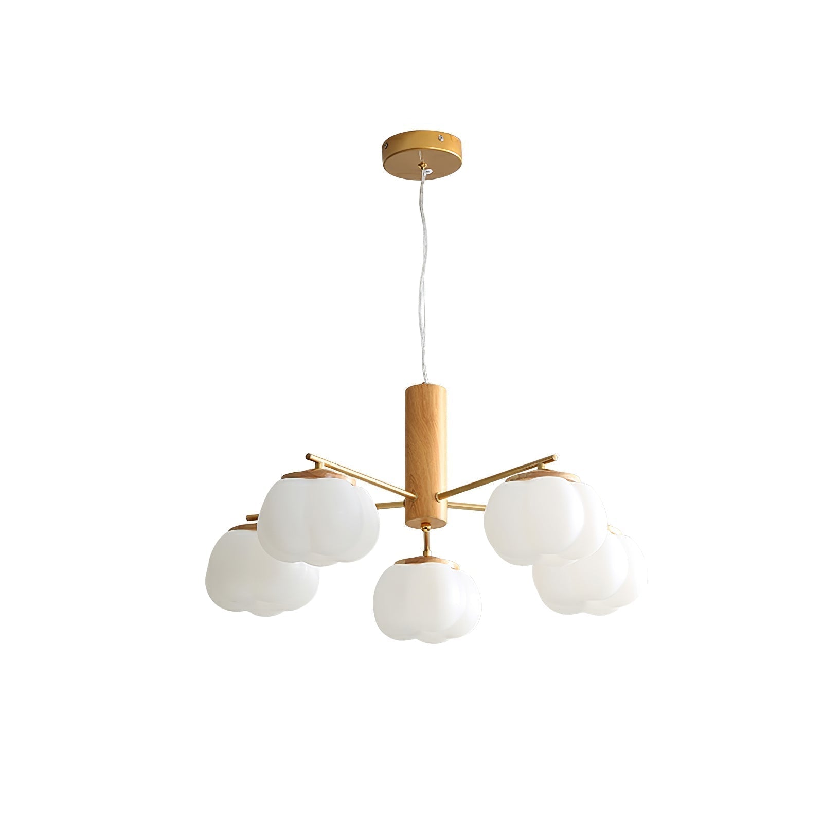 Ciruine Vintage Chandelier