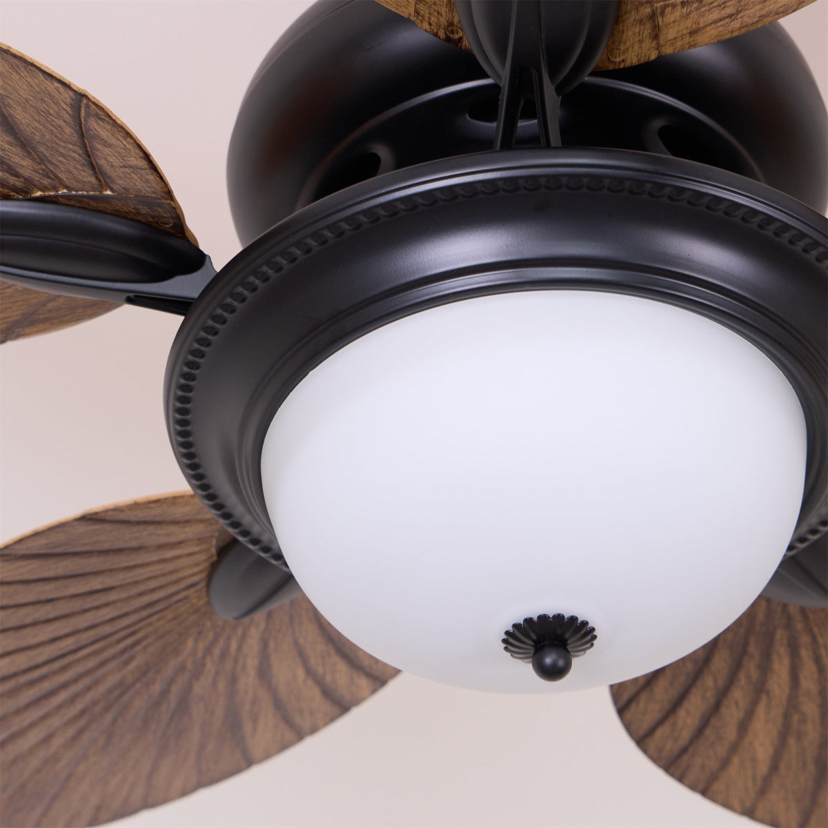 Viraalel Ceiling Fan Light