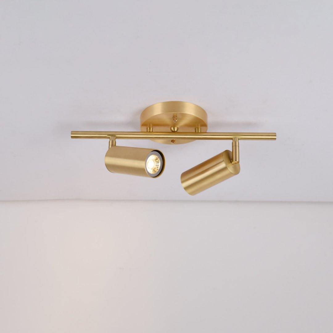 Ezveno Modern Minimalist Brass Ceiling Lamp