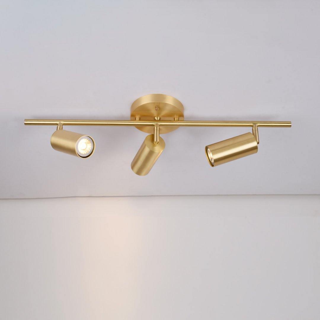 Ezveno Modern Minimalist Brass Ceiling Lamp