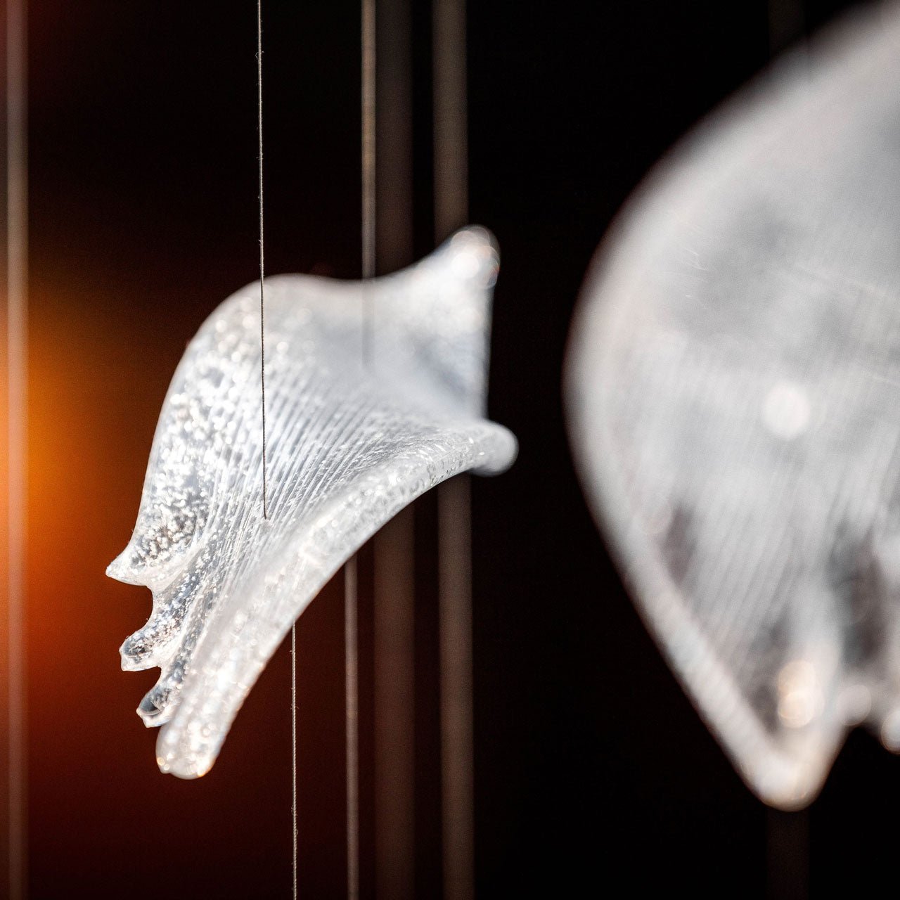 Zathaara Glass Feather Shape  Chandelier