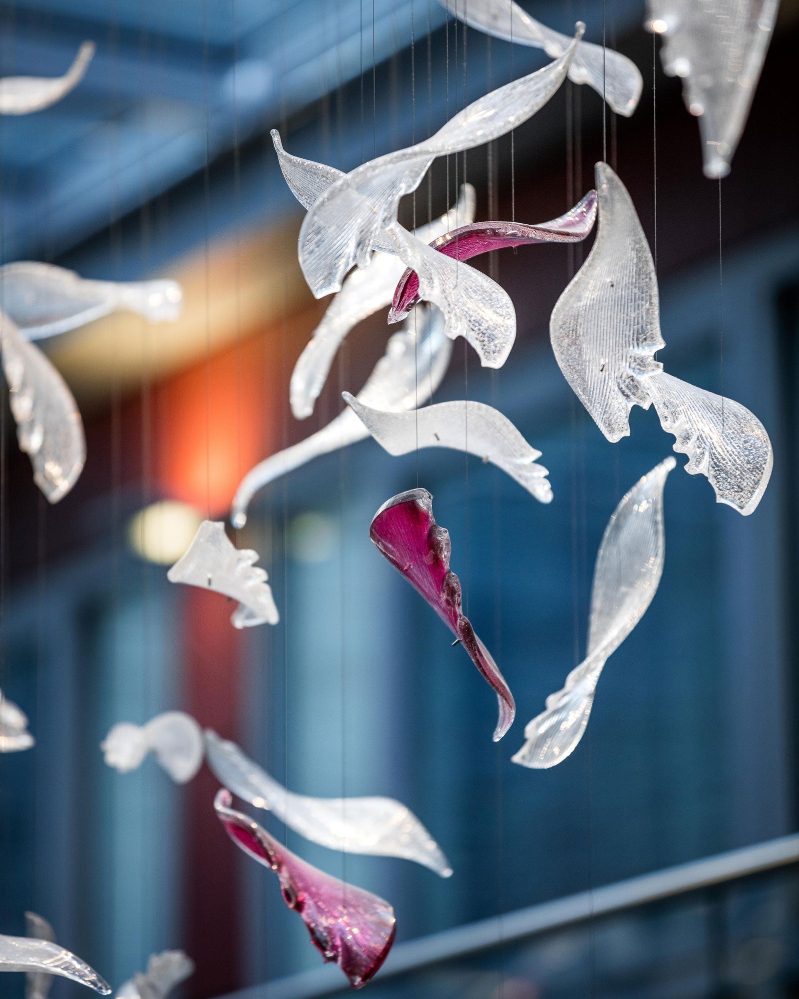 Zathaara Glass Feather Shape  Chandelier