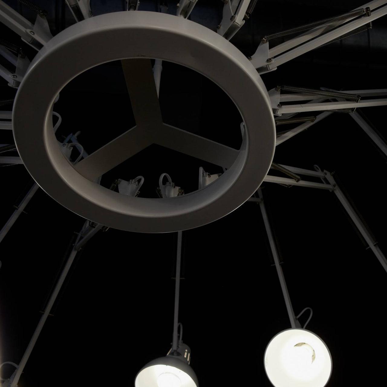 Livenu Chandelier Black Adjustable Multi Arm