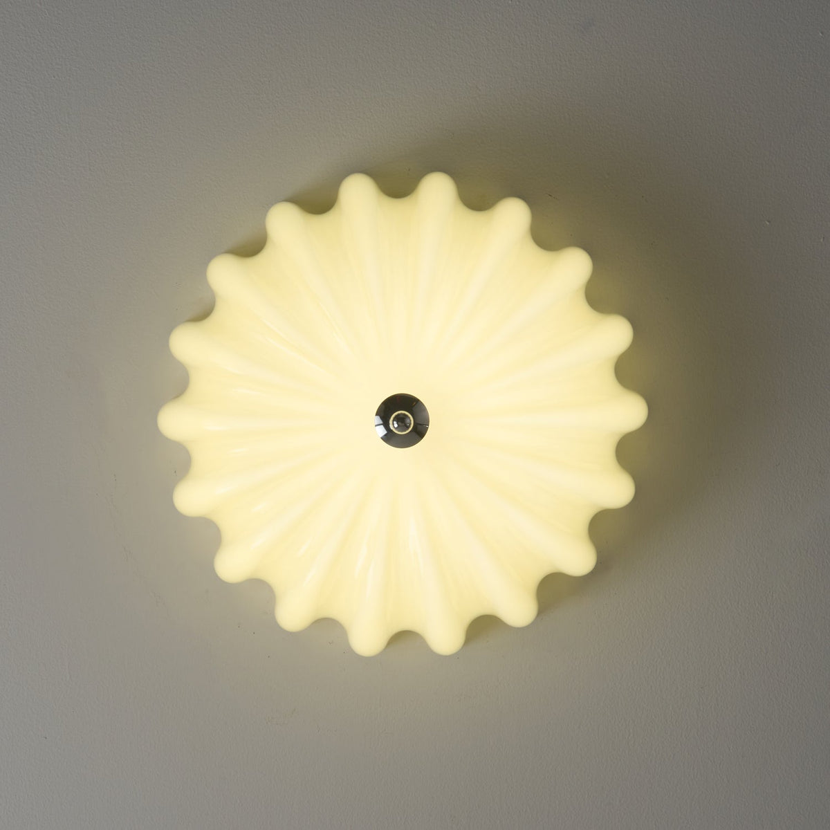 Zerinos Premium Nordic Art Shell Wood Glass Ceiling Light