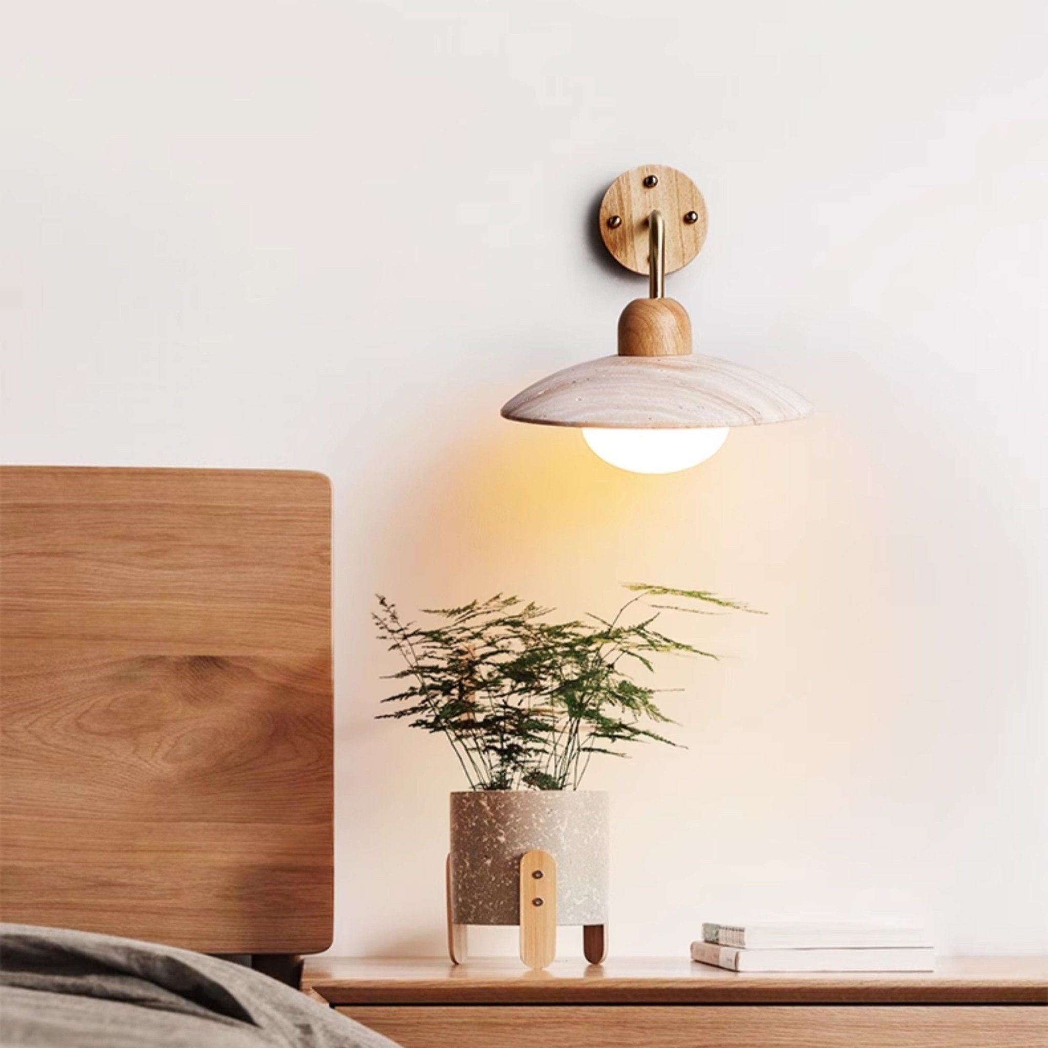 Lumicrest Dome Arm Indoor Wall Light