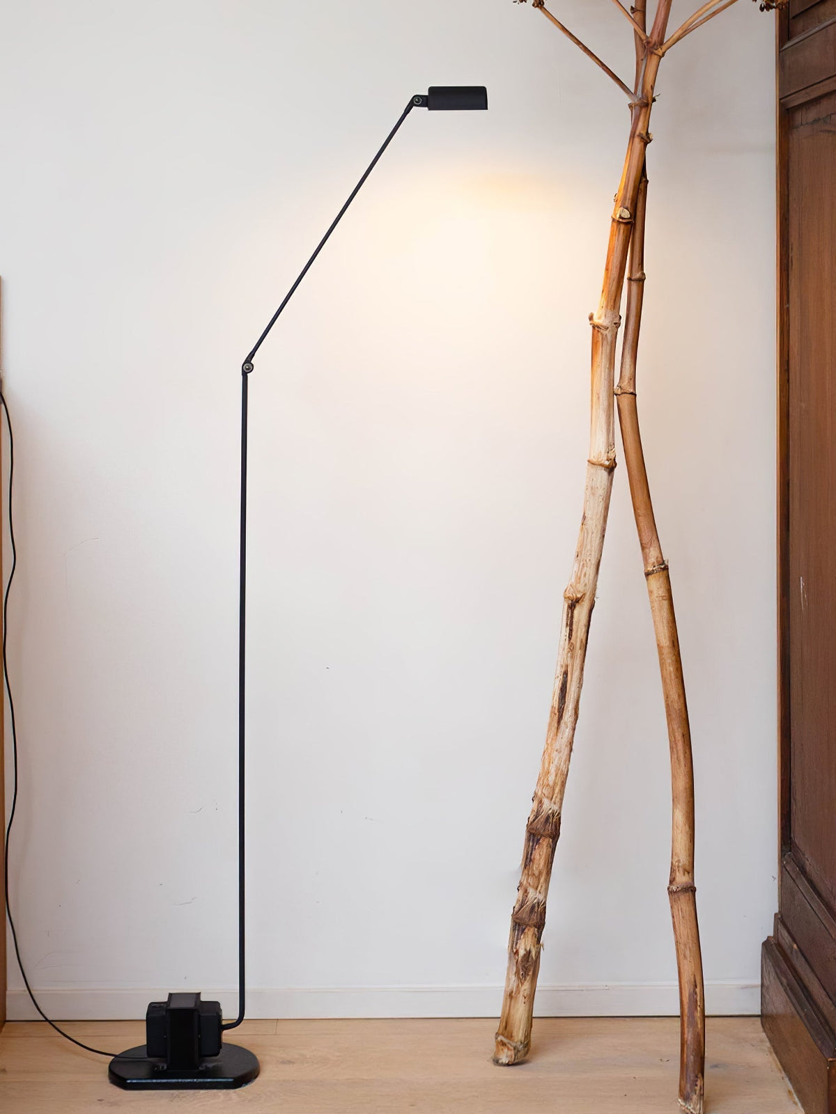 Nerilux Adjustable Floor Lamp