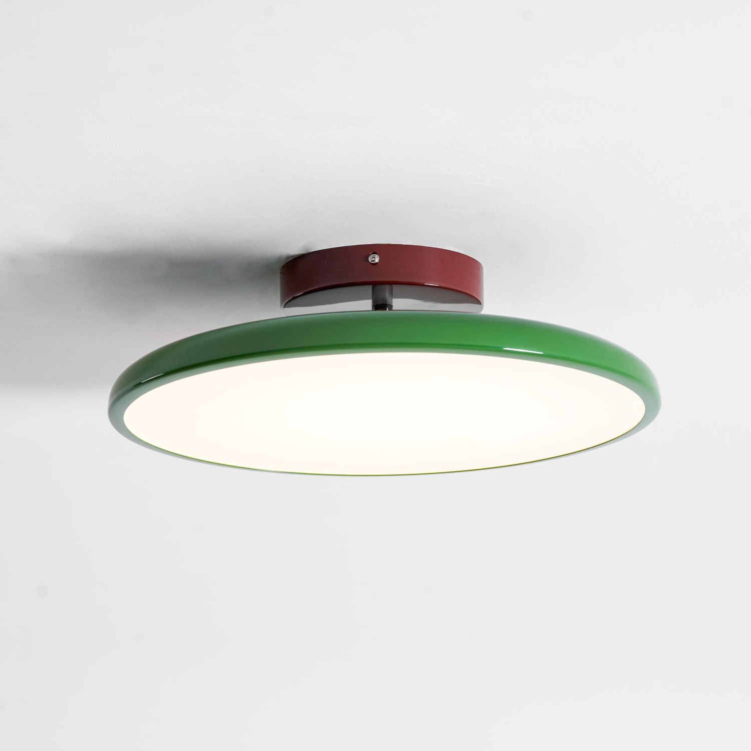 Elmsfield Adjustable Flush Mount Ceiling Light