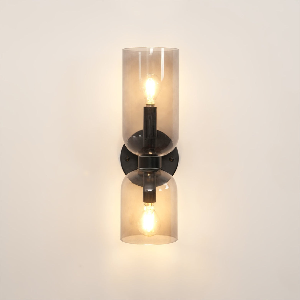 Zildes Nordic Art Plug-In Glass Wall Lamp