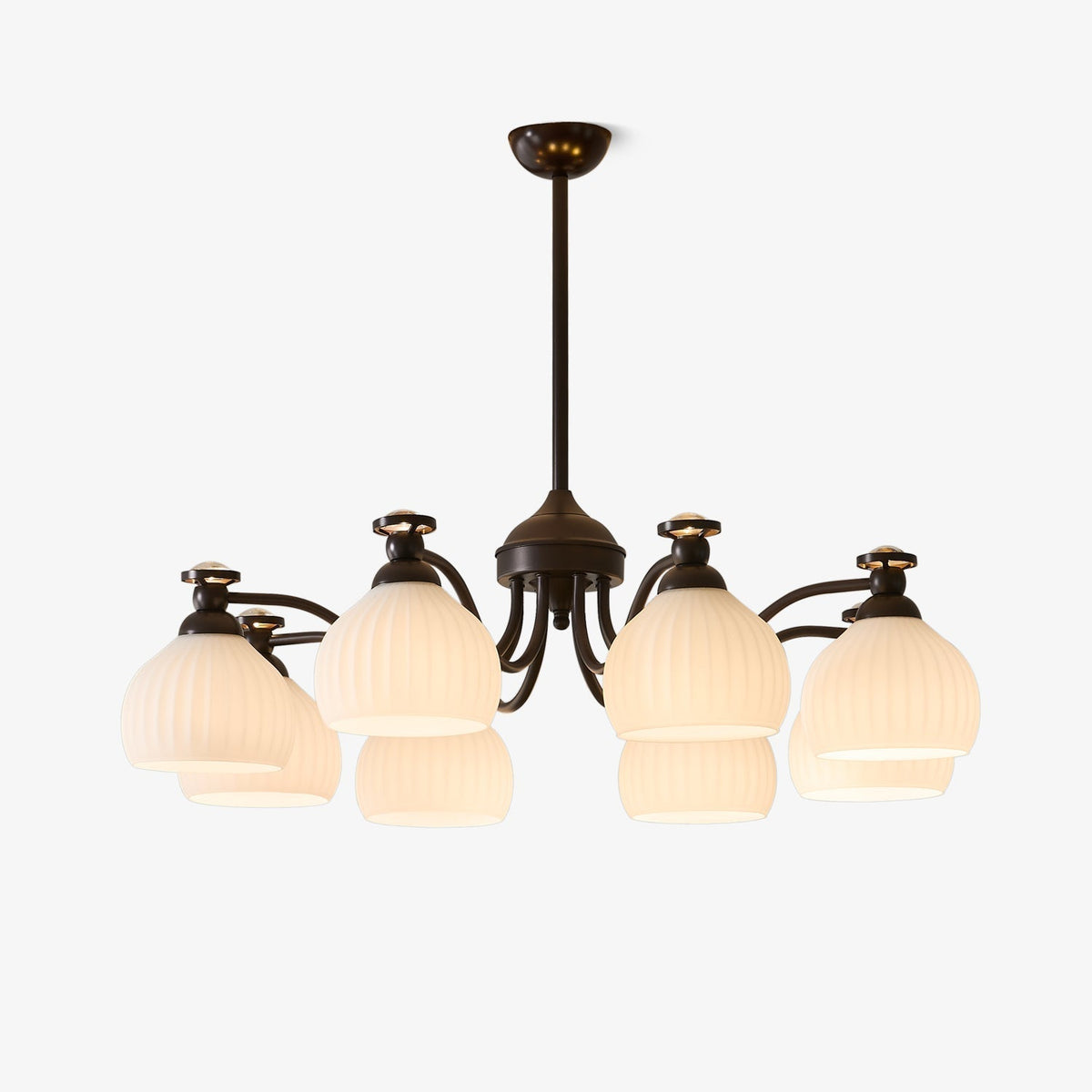 Calaeor Premium Elegance Glass Chandelier