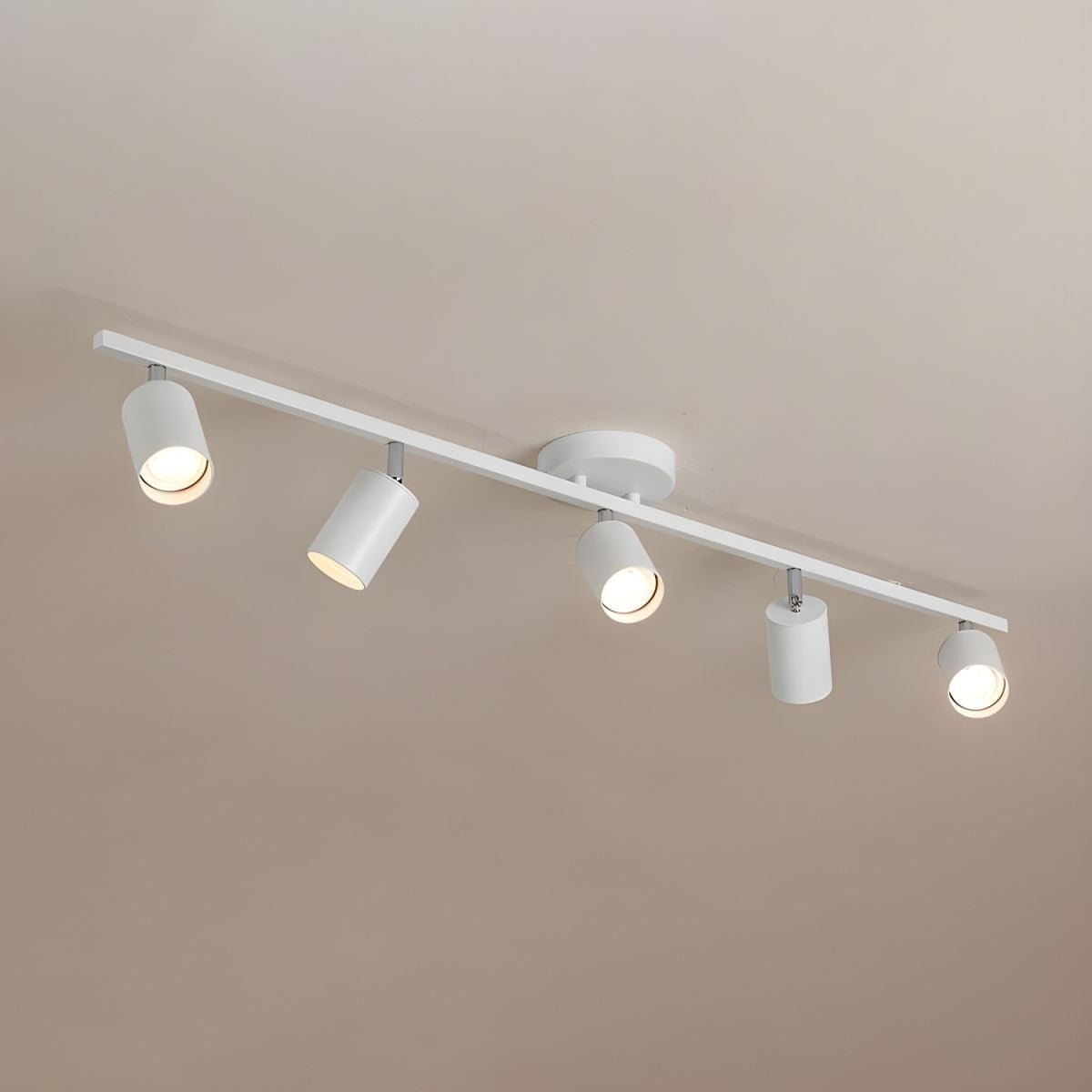 Quadra Aluminum Contemporary Ceiling Light