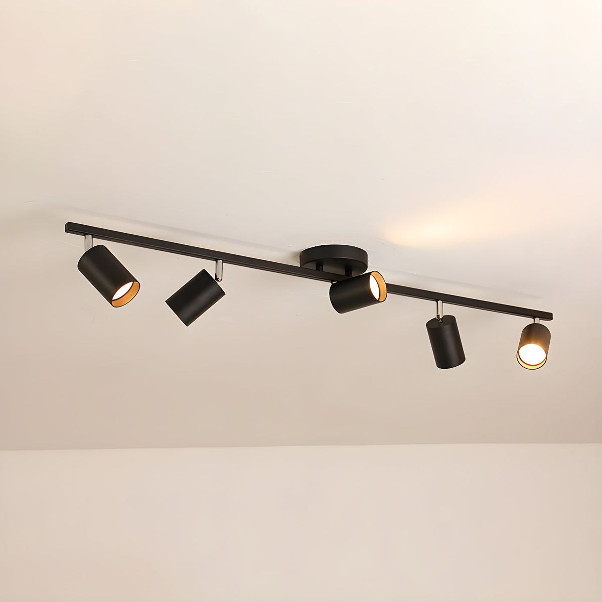 Quadra Aluminum Contemporary Ceiling Light