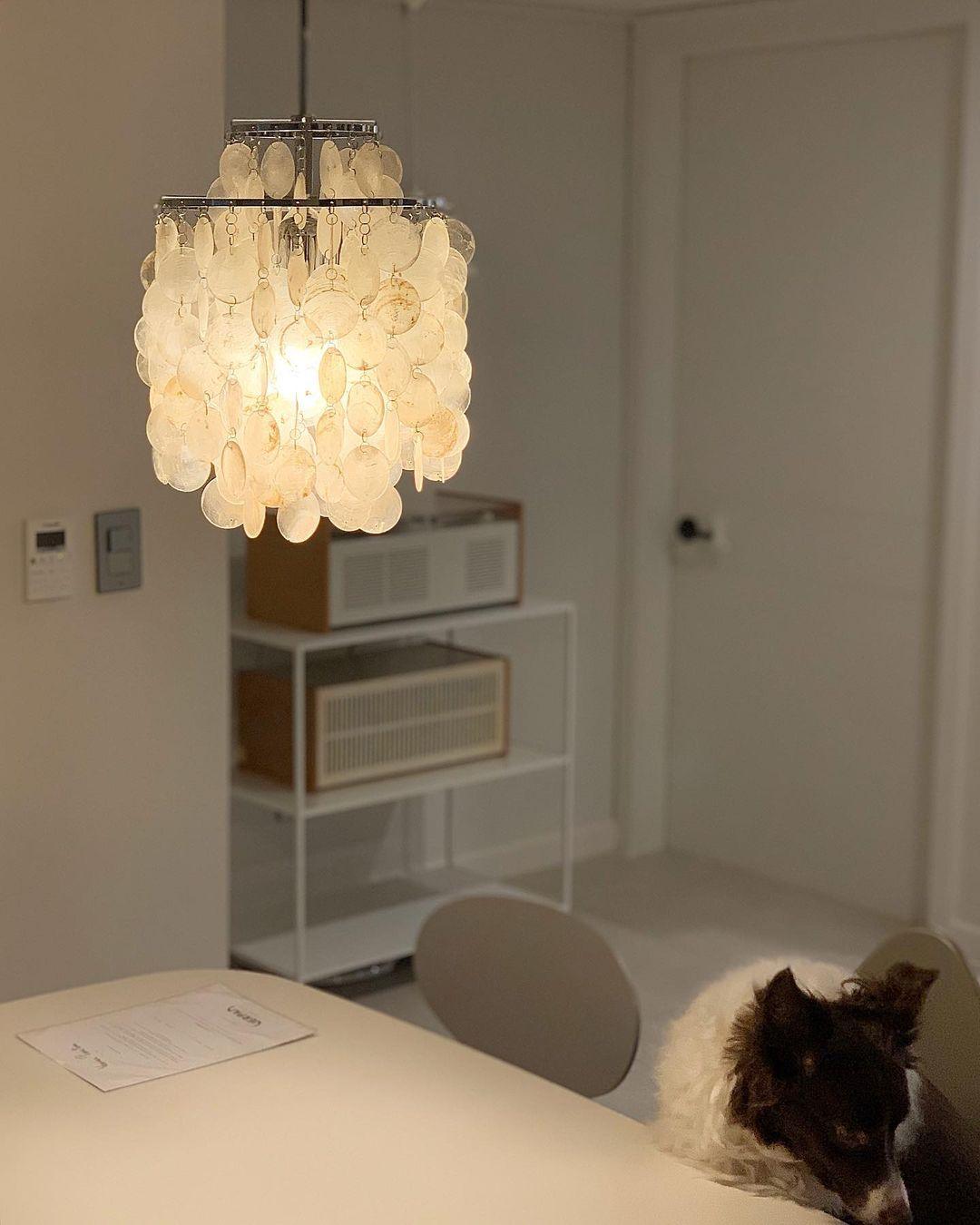 Rivena Pendant Lamp Round Shell Ring