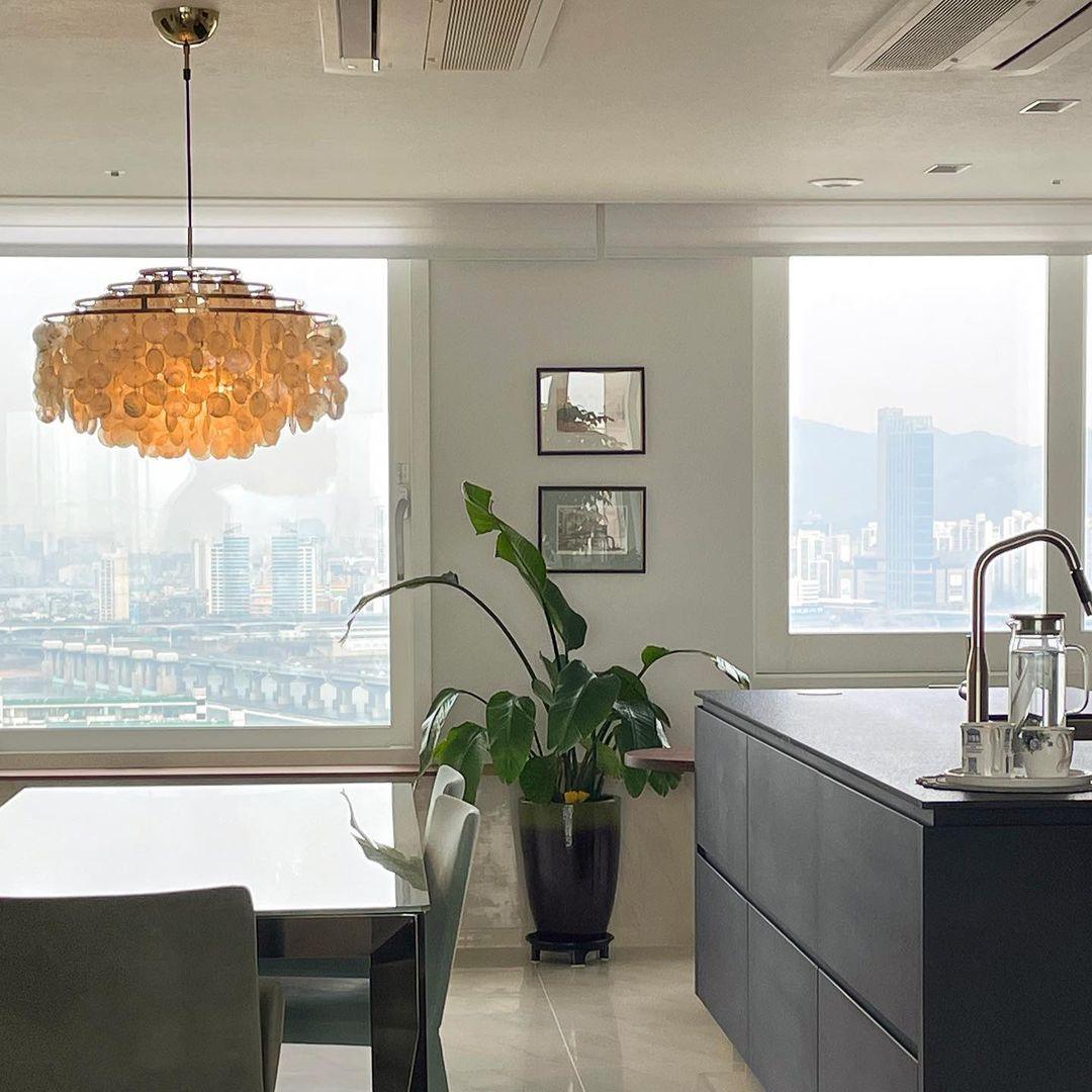 Rivena Pendant Lamp Round Shell Ring