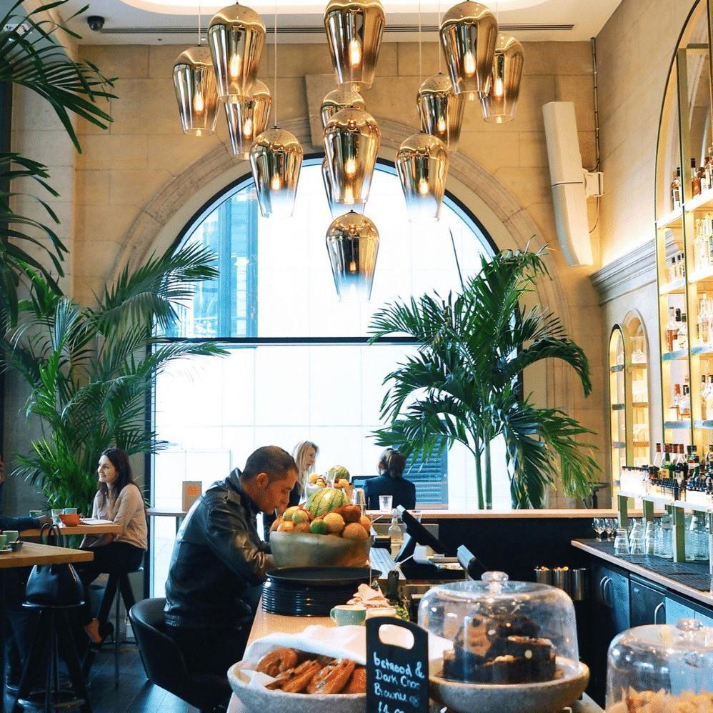 Adler Modern Glass Pendant light