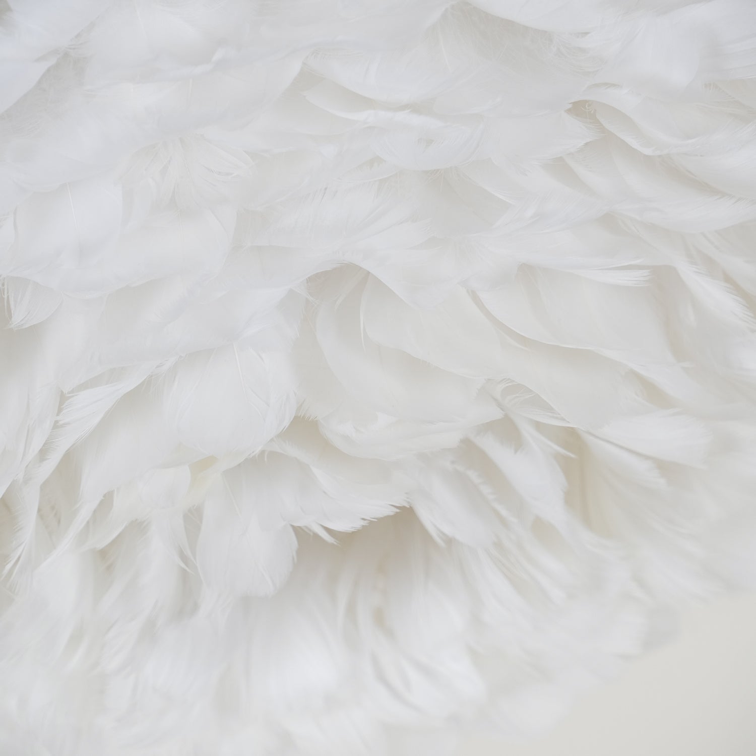 Zalore Premium Nordic Art Feathered Ceiling Lamp