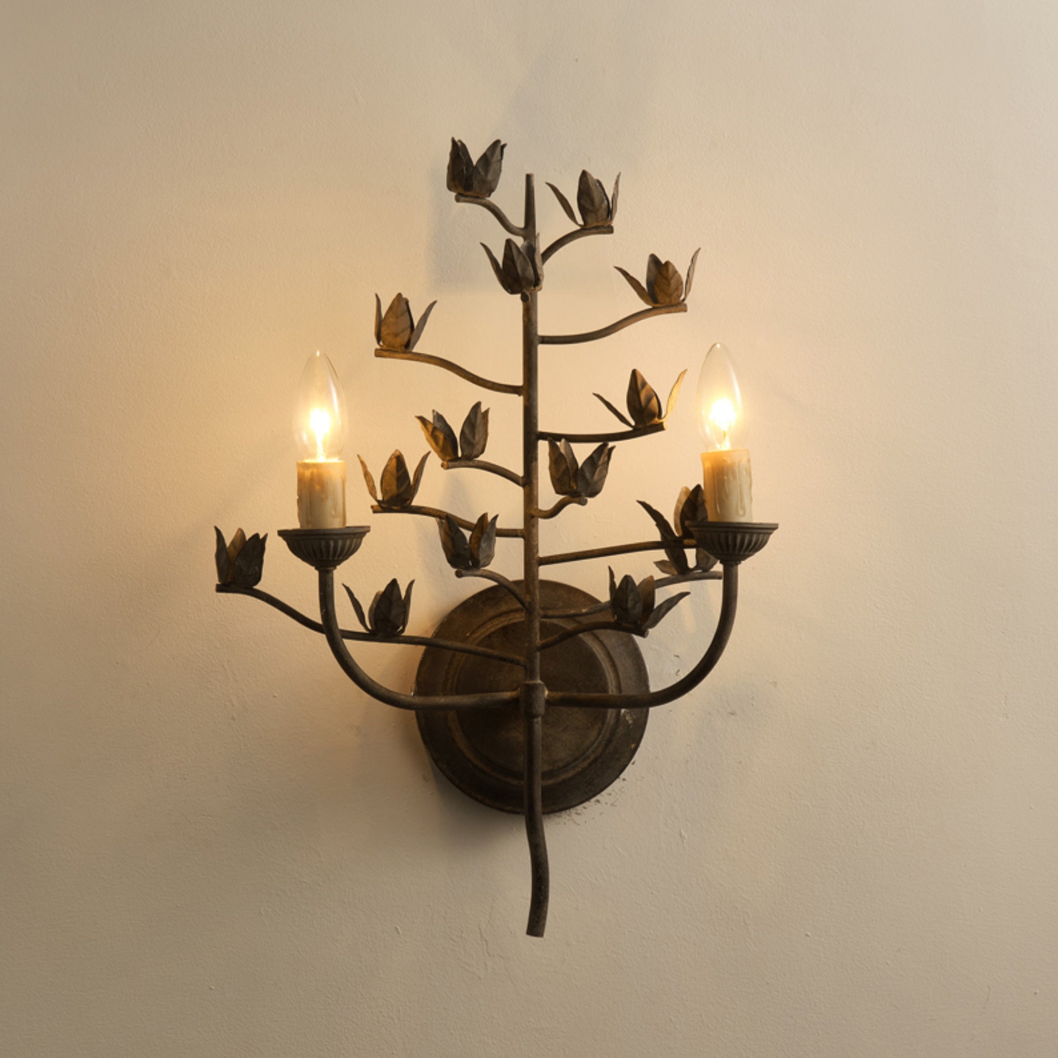 Elaerelia Wall Lamp