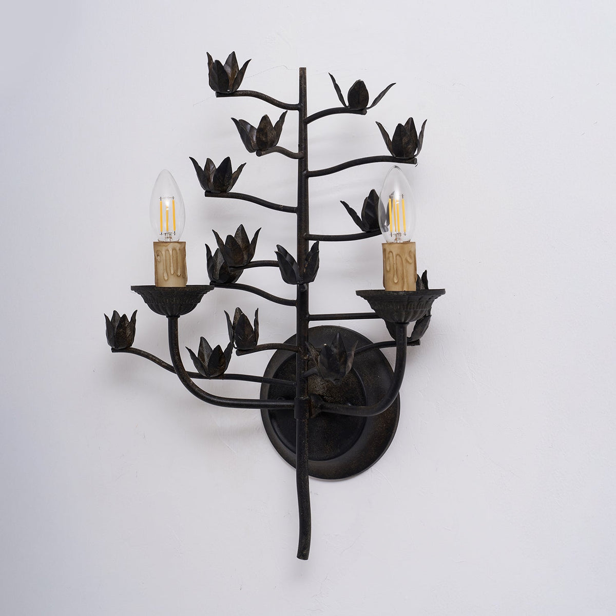 Elaerelia Wall Lamp