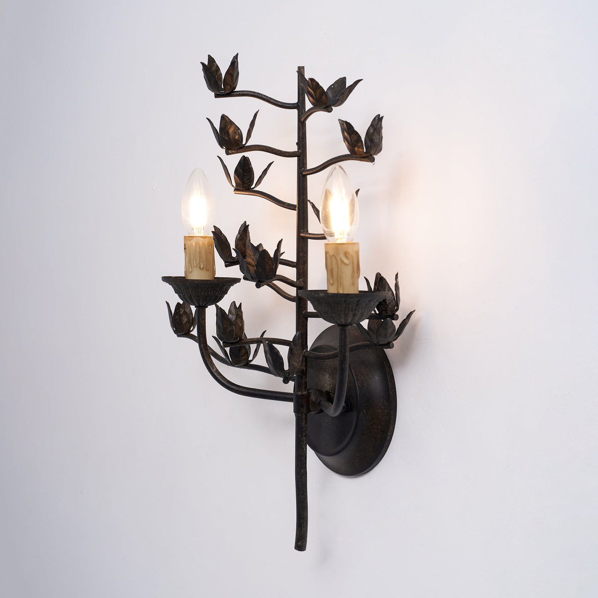 Elaerelia Wall Lamp
