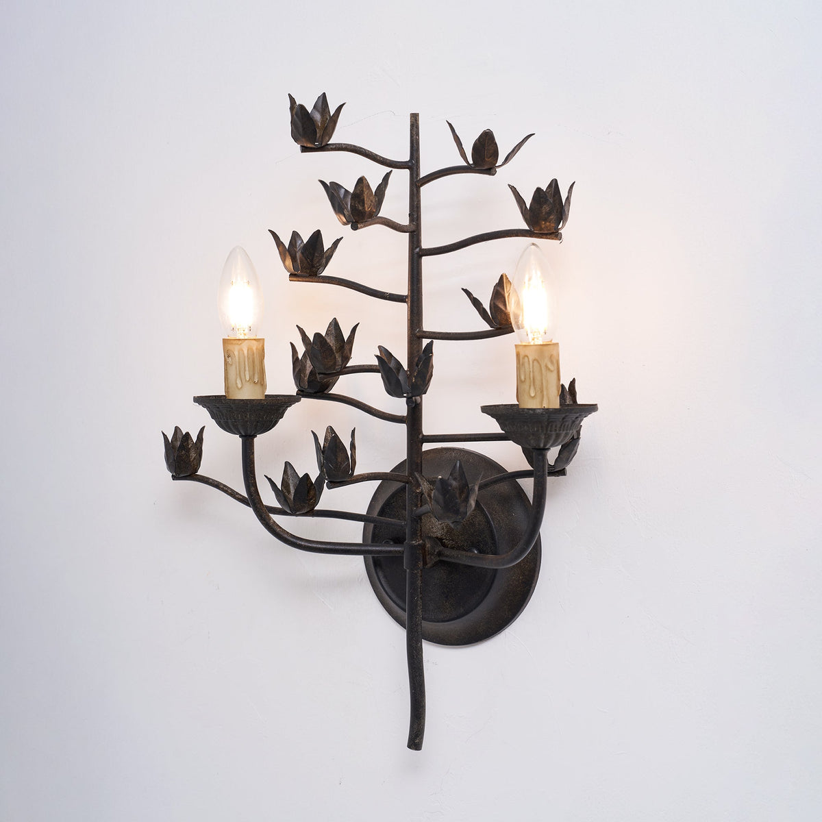 Elaerelia Wall Lamp