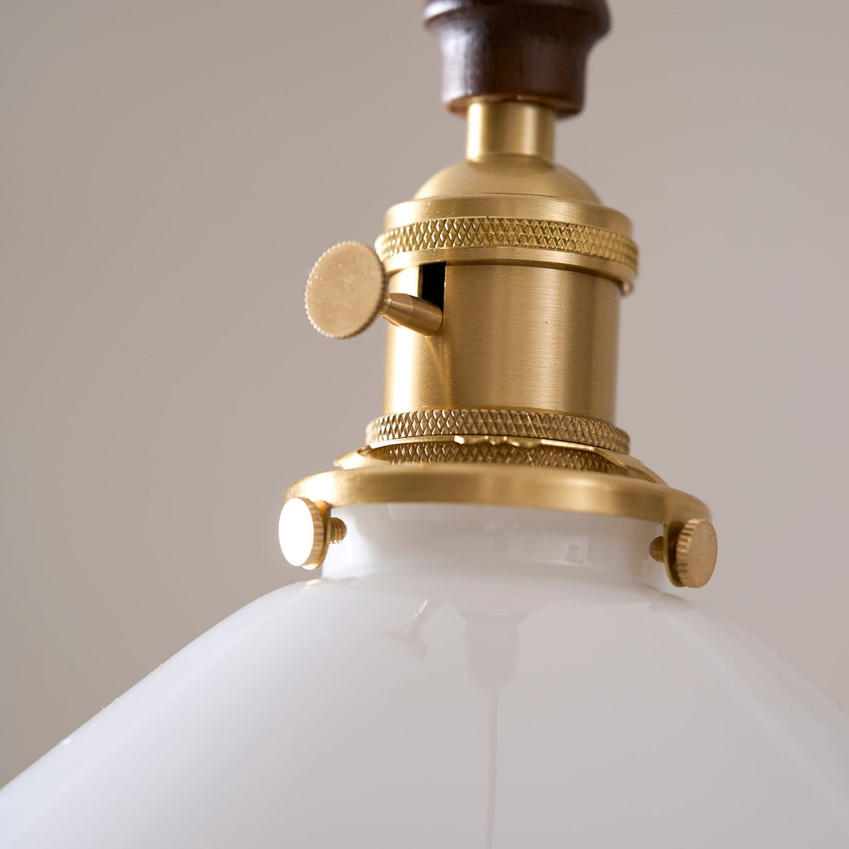 Beaumont Flower Petals Pendant Light